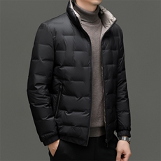 DF2373钱塘2020-2冬季厚款简约立领新款中年男士羽绒服P178，男装羽绒服，钱塘207-2