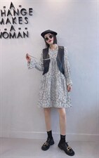 新款韩版连衣裙，女装连衣裙，韩流星