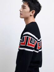 2025年秋季长袖青春流行圆领套头加厚提花，男装羊毛衫，圣强羊绒