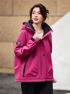 2025年冬季派克服宽松连帽加绒加厚棉服外套冲锋衣图片