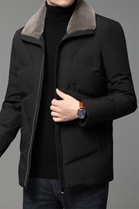 DF9967钱塘2020-2中年男士冬季厚款翻领商务休闲羽绒服P230图片