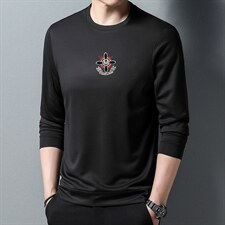 2023秋季新款圆领长袖t恤男士卫衣中年爸爸运动休闲男装上衣，男装卫衣，电商B212（原钱塘6029）