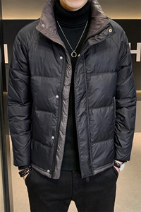 冬季短款立领羽绒服男 日系加厚面包服保暖外套Y6626-P195图片