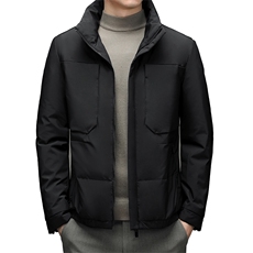 冬季白鸭绒羽绒服男士立领时尚休闲保暖羽绒外套SNNYR16901-P285，男装羽绒服，电商B212（原钱塘6029）