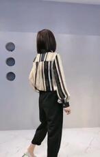 2021秋季新款欧洲站竖条纹时尚潮百搭小衫，其它，L·H·X