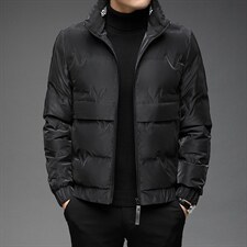 新款休闲羽绒服男立领冬季中年男休闲冬装外套上衣BJY08191-P170图片