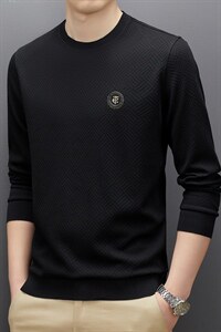 男士卫衣秋季2023新款商务休闲宽松上衣时尚百搭纯色圆领薄款男装图片