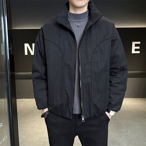 新标90   2025新款潮流保暖宽松立领白鸭绒羽绒服5875-P255图片