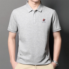短袖体恤衫男装夏季新品男士商务休闲中年polo衫时尚潮流百搭上衣，男装T恤，电商B212（原钱塘6029）