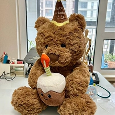 思诺玩具 生日小熊