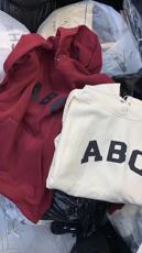 网红款加绒植绒大卫衣，女装卫衣/绒衫，DD+(4F)