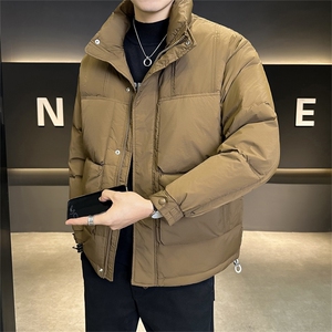 标90白鸭绒 店主风轻奢高级感立领羽绒服外套男X8608-P300图片