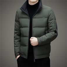 2023年新款男士立领御寒羽绒服冬季中年休闲加厚保暖外套爸爸装，男装羽绒服，电商B212（原钱塘6029）