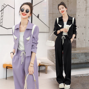 现货-休闲时尚套装女2024秋季新款洋气减龄气质百搭阔腿裤两件套图片