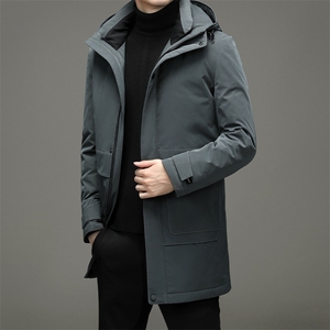 BF2908钱塘2020-2中年男士冬季厚款羽绒服商务休闲简约外套P380图片