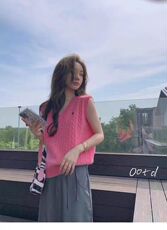 女士小马刺绣V领扭花马甲2025年秋季，女装针织衫/毛衣，浩新羊绒