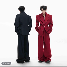 原版面料毛呢可脱卸真两件西服西裤套装W365-P135K365-P75（网图，男装西服，电商B267