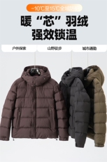 2025冬季90白鸭绒保暖羽绒服男连帽休闲纯色御寒上衣百搭外套，男装羽绒服，星座914