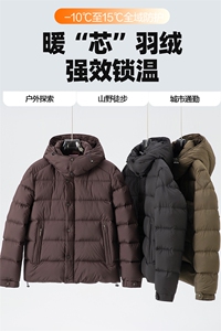 2025冬季90白鸭绒保暖羽绒服男连帽休闲纯色御寒上衣百搭外套图片