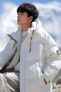 棉服男2026冬季新款宽松休闲连帽棉衣外套 2399特P90控148图片