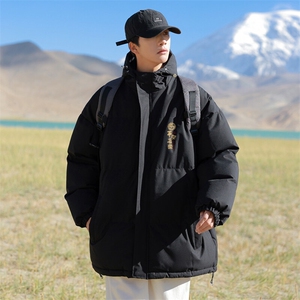 现货 抖音得物可供视频 三防加厚羽绒连帽棉衣外套面包棉服 85553图片