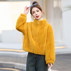 现货主推新款2024年冬季时尚立领皮毛一体加厚短外套仿水貂毛上衣，女装皮草，盈茜