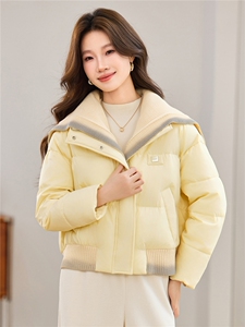 现货2025冬季新款休闲时尚无帽渐变针织领女士加厚加棉保暖棉服图片