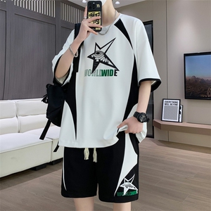 休闲运动套装夏季宽松阔版青少年学生短袖短裤一套 A436-T68-P50图片