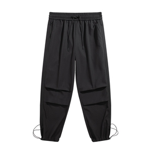 秋季现货宽松纯色直筒垂感条纹休闲裤男DSA157B-K9852-P45图片