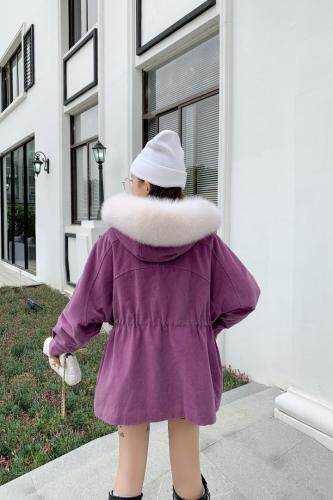 新款派克服，女装，菲特佳人