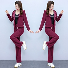 运动服时尚套装女2023春秋季新款气质休闲连帽外套直筒裤子两件套，女装套装/套裙，依如秀(原杭风阁)