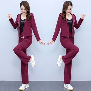 运动服时尚套装女2023春秋季新款气质休闲连帽外套直筒裤子两件套图片