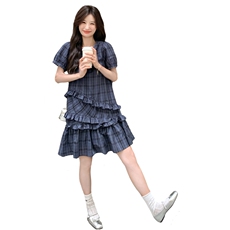 2025新款格子连衣裙，女装连衣裙，1C130