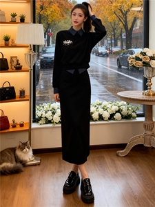 欧系时尚套装女秋撞色拼接衣领衣袖设计绣花订珠卫衣半身裙两件套图片
