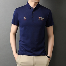 POLO衫男士短袖t恤翻领2023夏季新款潮牌休闲商务男装上衣，男装T恤，电商B212（原钱塘6029）