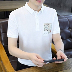 25087-P40夏季时尚休闲T恤男POLO衫商务休闲翻领打底衫，男装T恤，电商D310B-1
