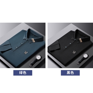 2023年春款男士上衣POLO长袖T恤P80图片