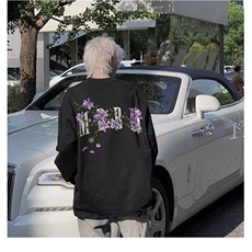 新款百搭日系ins简约慵懒气质纯棉长袖T原宿文艺流行T128-P30网图，女装T恤，电商B245