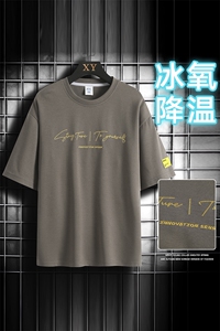 冰氧仿棉短袖网格挂拍体恤休闲百搭字母印花男上衣TC3152-P22控48图片