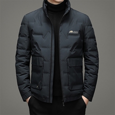 冬灰鹅绒羽绒服男立领保暖气质羽绒服时尚休闲XS98983-P266，男装羽绒服，钱塘6003A(原)4033A