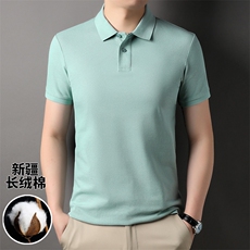 夏季短袖T恤男翻领商务休闲Polo衫中青年纯色百搭简约上衣男半袖，男装T恤，电商B212（原钱塘6029）