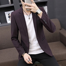 XZ8602P80西装男士修身单上衣青年帅气春秋小西装纯色西服外套，男装西服，星座510A-2