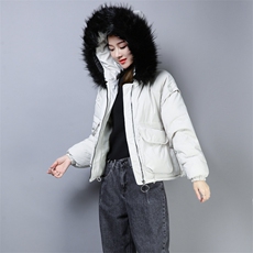 休闲时尚短款拉链连帽棉衣/棉服宽松2020年冬季修身显瘦，女装棉衣/棉服，小林双子