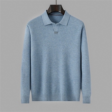 2025年秋季新款翻领针织男士上衣时尚休闲通勤百搭，男装羊毛衫，琳华羊绒