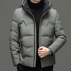 DF8233钱塘2020-2中年男士冬季厚款商务休闲简约有帽羽绒服P240，男装羽绒服，钱塘207-2