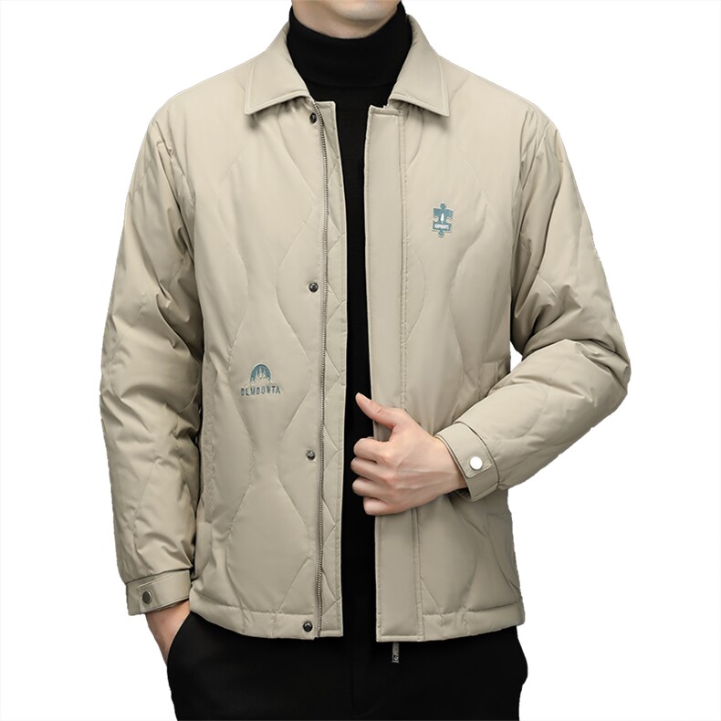 BWDF-12钱塘2020-2中年男士冬季厚款时尚休闲简约羽绒服P203,男装羽绒服,钱塘207-2