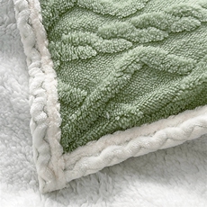 新款塔芙绒羊羔绒多功能毛毯，毯子，一起卖家纺