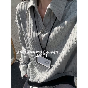 XZ809A/SYR28/特P30/控58   肌理感polo杉长袖T恤卫衣图片