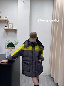 2025年秋季拉链立领长袖常规单件羽绒服简约大方图片