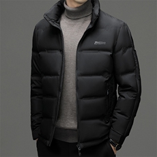 CXSYR89678钱塘2020-2冬季厚款商务休闲简约中年男士羽绒服P220，男装羽绒服，钱塘207-2